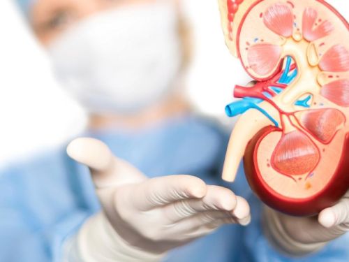 Sederet Air Rebusan Ini Ampuh Jaga Ginjal Tetap Sehat